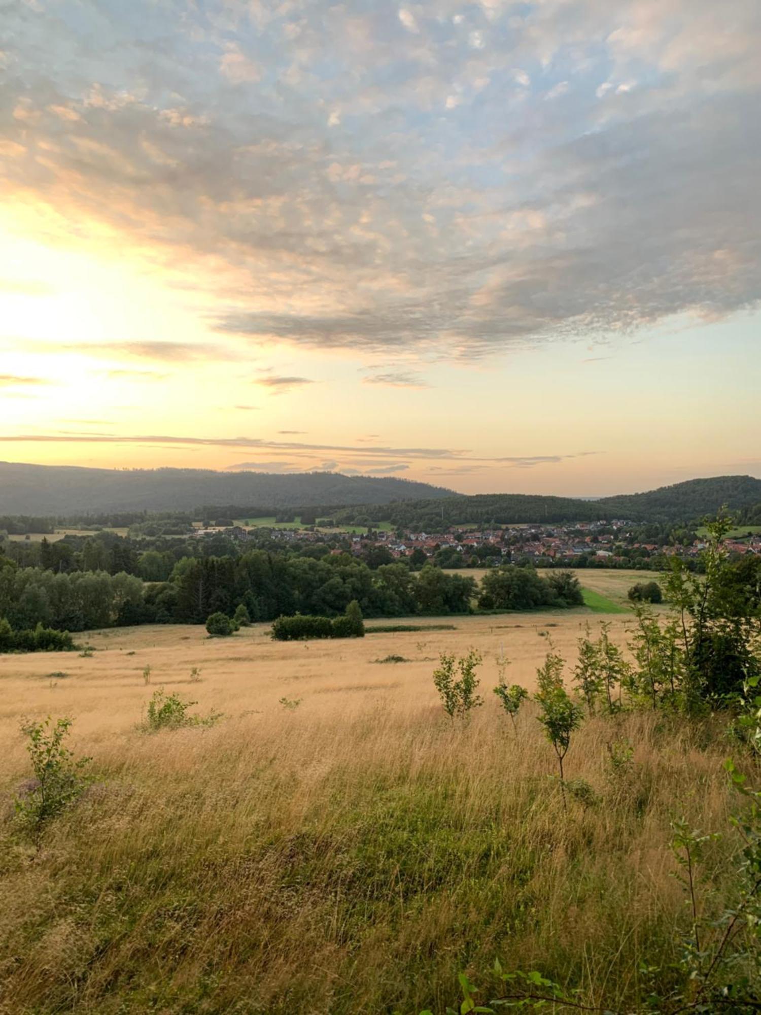 Villa Wolfs-Blick Langelsheim Exterior foto